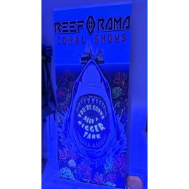 Retractable Banners Full Color with Free Shipping!