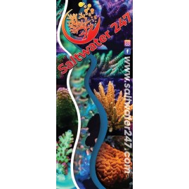 Retractable Banners Full Color with Free Shipping!