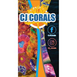 Retractable Banners Full Color with Free Shipping!