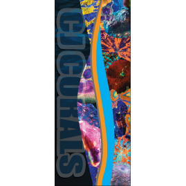 Retractable Banners Full Color with Free Shipping!