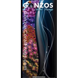 Retractable Banners Full Color with Free Shipping!
