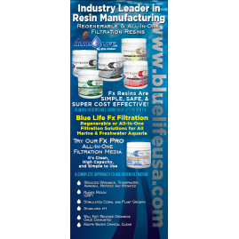 Retractable Banners Full Color with Free Shipping!