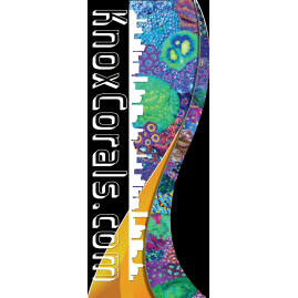 Retractable Banners Full Color with Free Shipping!