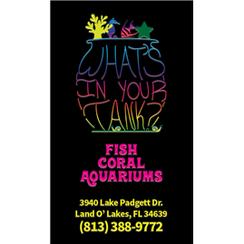 14pt + UV Gloss Coating Full Color Business Cards