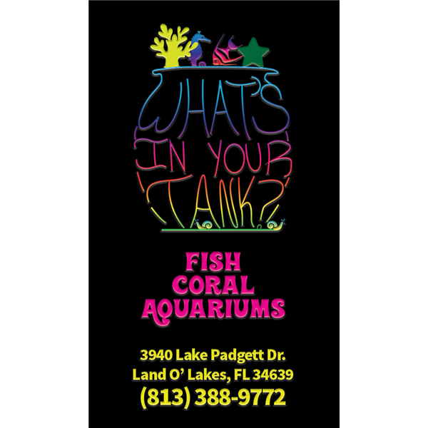 14pt + UV Gloss Coating Full Color Business Cards