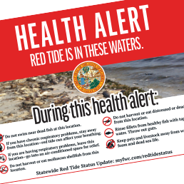 Red Tide Design
