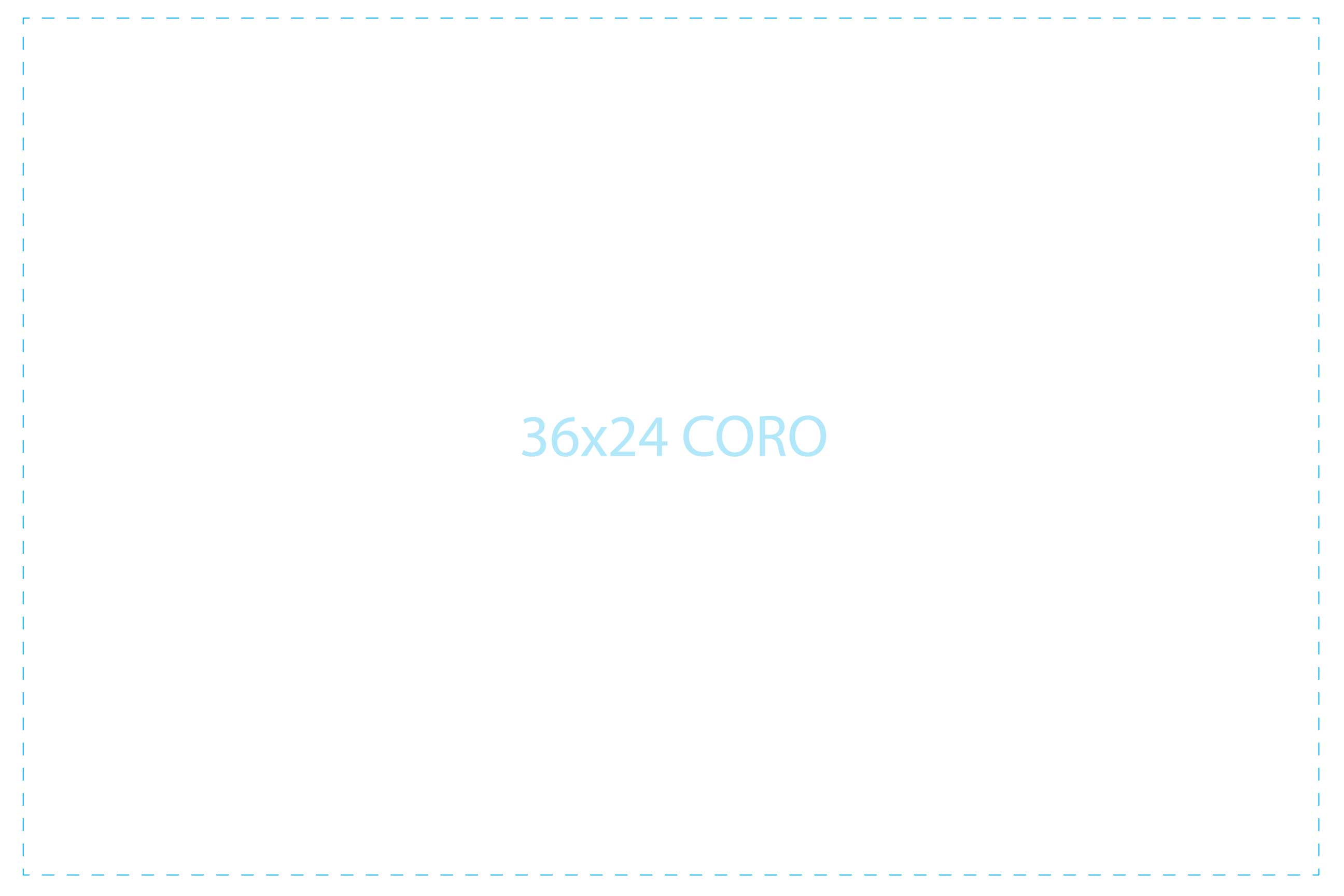 36x24 Coroplast